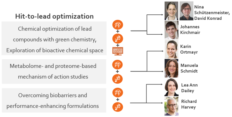 Hit-to-lead optimization strategy of the AIDD program