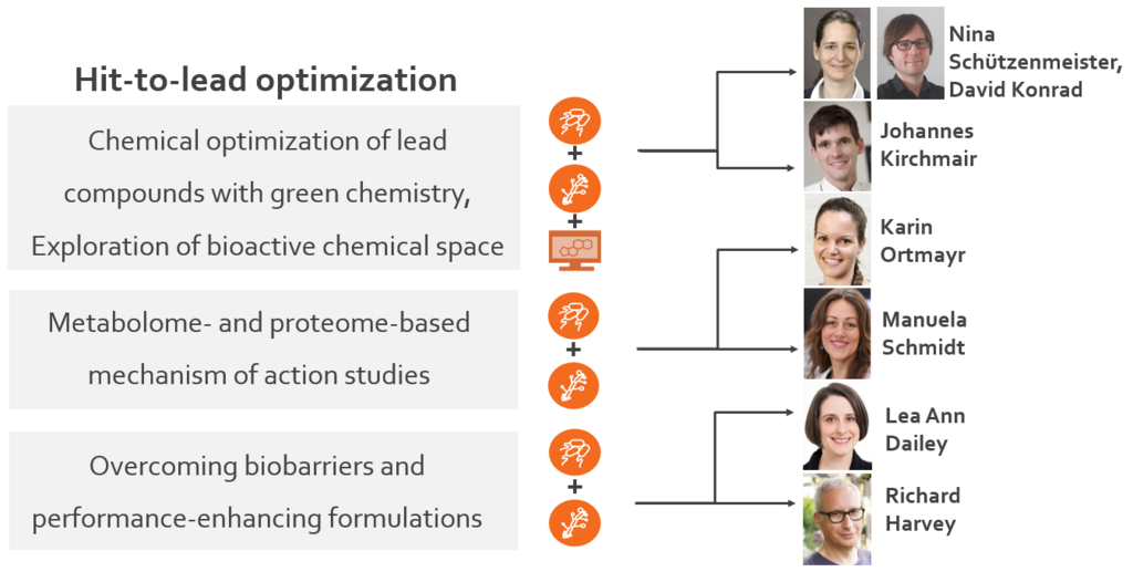 Hit-to-lead optimization strategy of the AIDD program